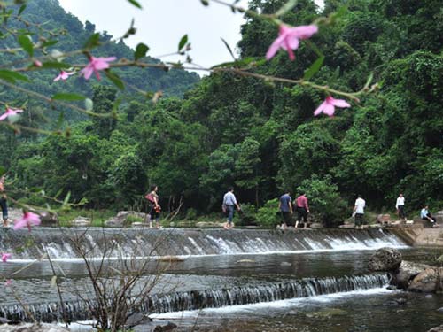 Khu du lịch sinh thái Khe Rỗ