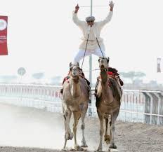 HÀ NỘI - DOHA BẢO TÀNG HỒI GIÁO - SHEIKH FAISAL - TRƯỜNG ĐUA LẠC ĐÀ - LÀNG VĂN HÓA KATARA - SA MẠC SAFARI - THĂM QUAN MUA SẮM TẠI DOHA